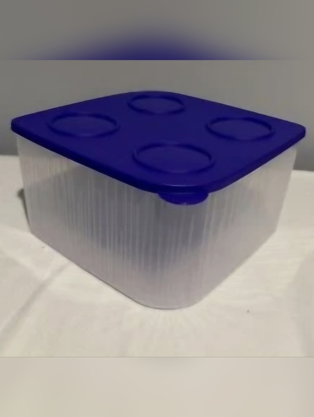 Tupperware Blue Lid Clear Storage Container